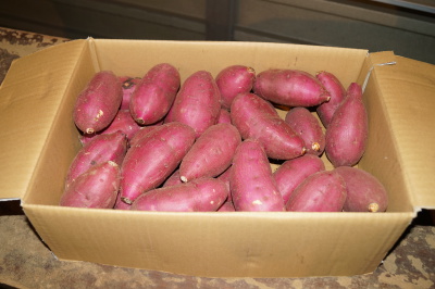 �ׂɂ͂邩 ���� �ۂr