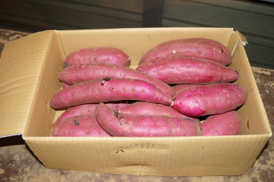 �ׂɂ͂邩 ��񋤐� L