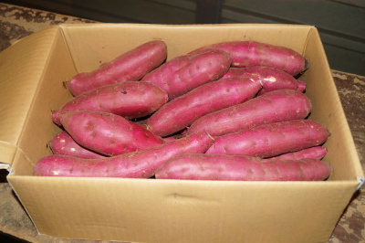 �ׂɂ͂邩 ��񋤐� M