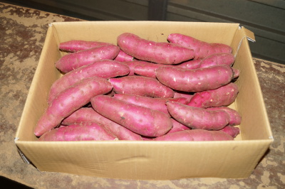 �ׂɂ͂邩 ��񋤐� S