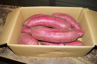 �ׂɂ͂邩 ��񋤐�@B2L