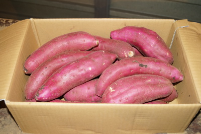 �ׂɂ͂邩 ��񋤐�@BL